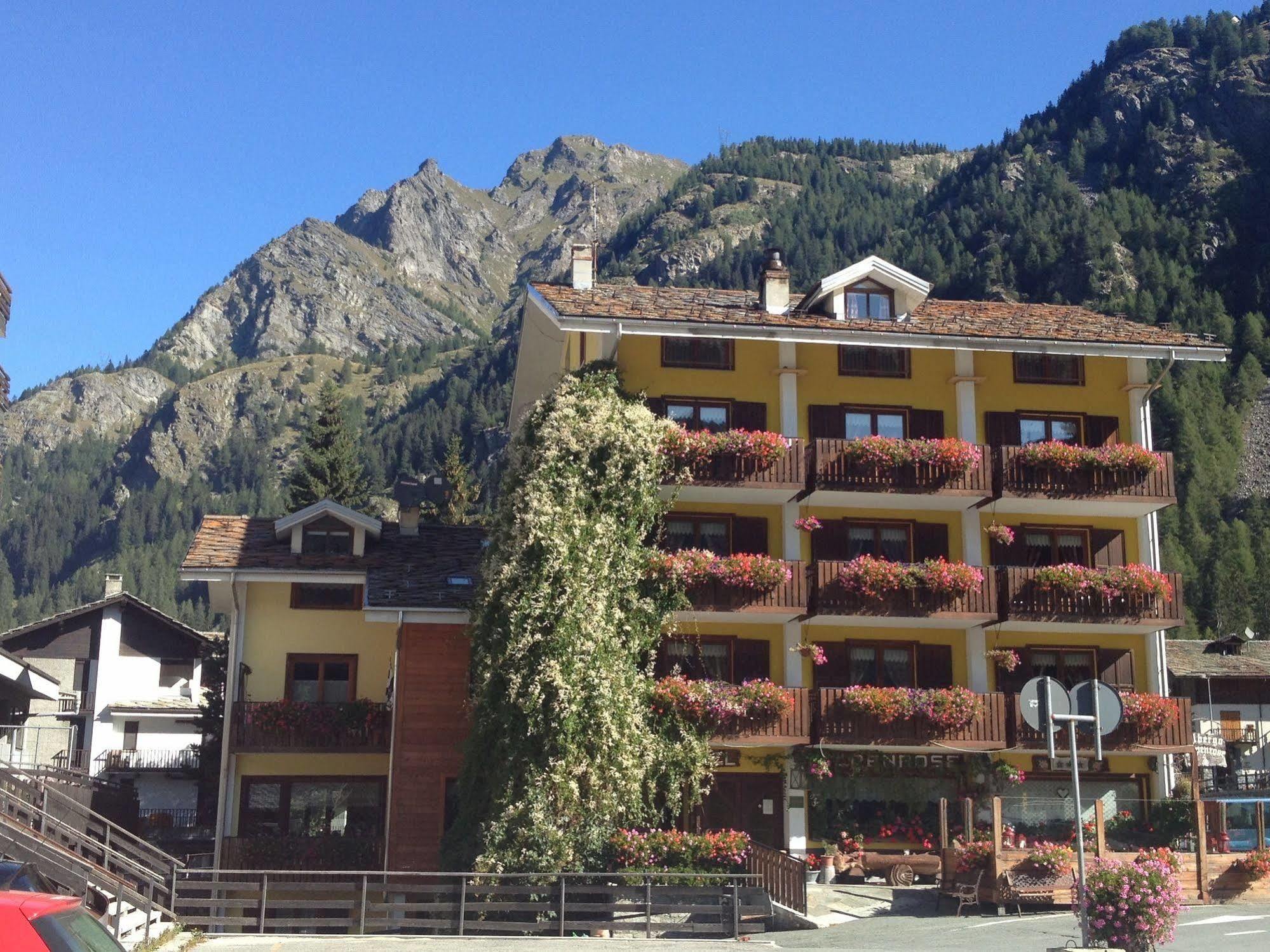 Albergo Alpenrose Ski&Bike Mountain Hotel Gressoney-Saint-Jean Exterior photo